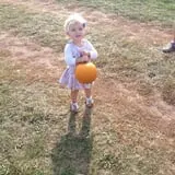 Maple Hills Orchard photo
