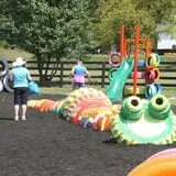 White Oak Pumpkin Patch photo