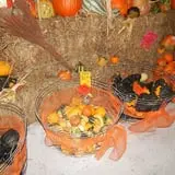 White Oak Pumpkin Patch photo