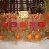 White Oak Pumpkin Patch photo
