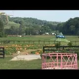 White Oak Pumpkin Patch photo
