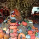 White Oak Pumpkin Patch photo