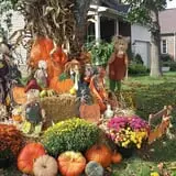 White Oak Pumpkin Patch photo