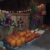 White Oak Pumpkin Patch photo