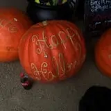 White Oak Pumpkin Patch photo