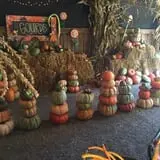 White Oak Pumpkin Patch photo