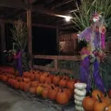 White Oak Pumpkin Patch photo