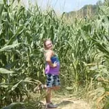 White Oak Pumpkin Patch photo