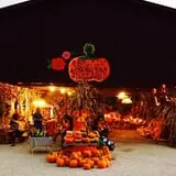 White Oak Pumpkin Patch photo