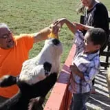 White Oak Pumpkin Patch photo
