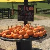 White Oak Pumpkin Patch photo