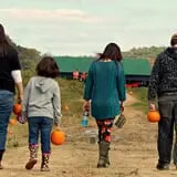 White Oak Pumpkin Patch photo