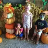 White Oak Pumpkin Patch photo