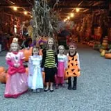 White Oak Pumpkin Patch photo