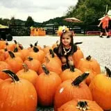 White Oak Pumpkin Patch photo