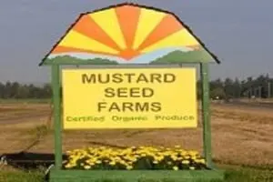 Mustard Seed Farms Giant Pumpkins