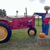 Team Family Farms photo