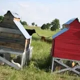 Team Family Farms photo