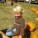 Fall Harvest Orchard photo