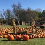 Fall Harvest Orchard photo