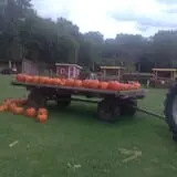 Fall Harvest Orchard photo