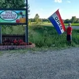 Fall Harvest Orchard photo