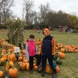 Fall Harvest Orchard photo