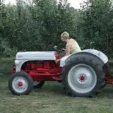 Fall Harvest Orchard photo