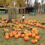 Fall Harvest Orchard photo