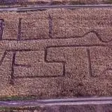 Fall Harvest Orchard photo
