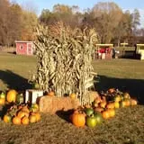 Fall Harvest Orchard photo