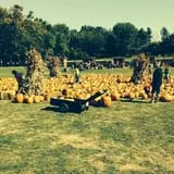 Fall Harvest Orchard photo