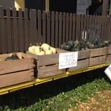 Fall Harvest Orchard photo