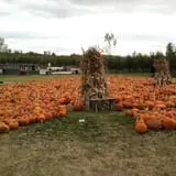 Fall Harvest Orchard photo