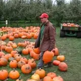 Fall Harvest Orchard photo