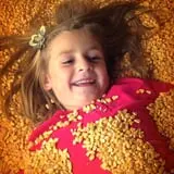 Fall Harvest Orchard photo