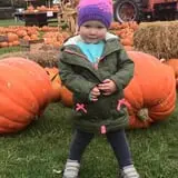 Fall Harvest Orchard photo
