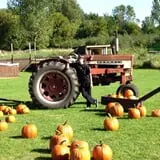 Fall Harvest Orchard photo