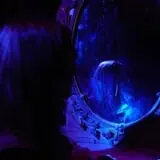 Kevin McCurdy's Haunted Mansion photo