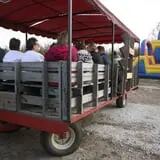 Curtis Orchard & Pumpkin Patch photo