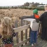 Curtis Orchard & Pumpkin Patch photo