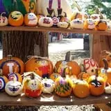 Curtis Orchard & Pumpkin Patch photo