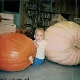 Curtis Orchard & Pumpkin Patch photo