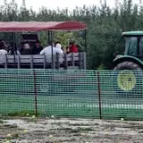 Curtis Orchard & Pumpkin Patch photo