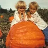 Curtis Orchard & Pumpkin Patch photo