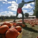 Curtis Orchard & Pumpkin Patch photo