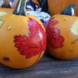 Curtis Orchard & Pumpkin Patch photo