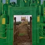 Curtis Orchard & Pumpkin Patch photo