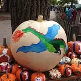 Curtis Orchard & Pumpkin Patch photo