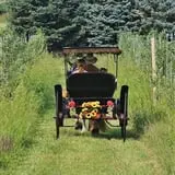 Curtis Orchard & Pumpkin Patch photo